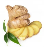 Chinese Crystal bitter kola and ginger dried ginger buyer in europe