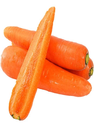 Chinese fresh carrot new crop wholesale export