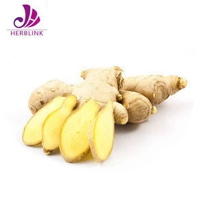 Chinese Natural Fresh Ginger Extract Gingerol 5%