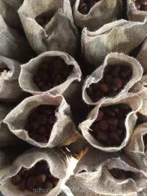 Chinese New Crop fresh dandong chestnut factory best price good quality