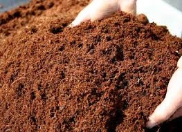 Coco Peat Light direct Supplies.