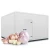 Import Container cold room  cold room freezer can store frozen food from China