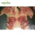 Import Cost price frozen chicken breast boneless halal leg meat from China