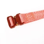 Custom Brand Mens Nylon Military Combat Auto-locked Buckle Tactical Belt Hunting Hiking Sports Fabric Belt with Burning Reistan