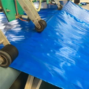 Custom Canvas Waterproof Tarp for Trailers/Tent Cover/Cargo Ship/Fish Pool