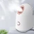 Import Custom High Quality Face Deep Cleansing Keep Moisture For Daily Skin Care Nano Ionic Hot Spray Facial Steamer from China