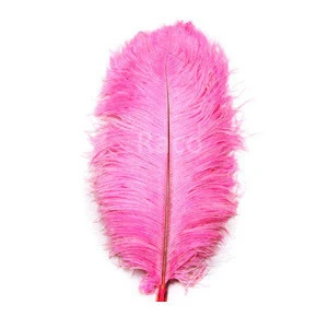 Custom white and colored ostrich feather  for decoration