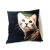 Import Custom wholesale square Shape Plush Pillow animal Print Cartoon Pillow Soft Stuffed Plush Cushion from China
