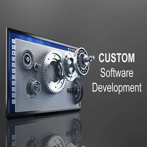 Customize Software