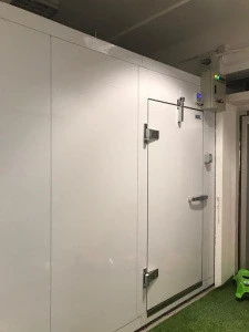 Customized cold room refrigerator freezer room