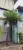 Import Cutomized Palm Tree Artificial Coconut Tree for Decorations from China