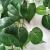 Import Dark Green Scindapsus Sweet Potato Leaves Artificial Plant Wall for Decoration from China