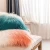 Import Decorative Luxury Series Plush Throw Pillow Case Mongolian Faux Fur Sofa Cushion Cover from China