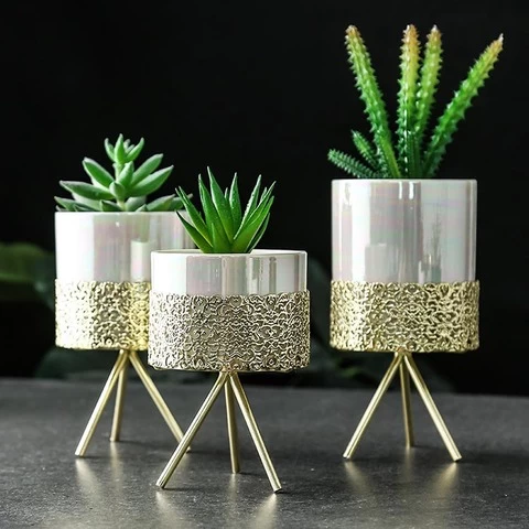 Decorative Planter for Indoor Plants, Ceramic Succulent pots, Small Plant Pot