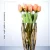 Import Decorative Vase Flower Vase New Design Glass & Crystal Vases from China