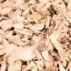 Dehydrated Ginger Slices Chips Dried Free Sample