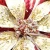 Import Design  Top Quality Plastic Party Red  Festive Decoration Classic Modern  Christmas Luxury Poinsettia Clip from China