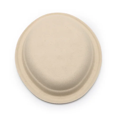 Buy Disposable Biodegradable Plates Sugarcane Bagasse Paper Pulp Mould ...
