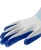 Disposable Protective Safety Examination Nitrile Gloves in Work&amp;Label Coated with Latex