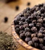 Dried Black Pepper High Quality and Cheap Price/Condiments Pepper