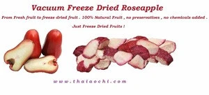 Dry Fruit Rose Apple HACCP , ISO 22000, GMP &amp; HALAL Certified [ from Thailand ] 100 % Dried Fruit