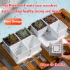 Durable Succulent Gardening Hard PP Plastic Nursery Plants Pots Factory Price