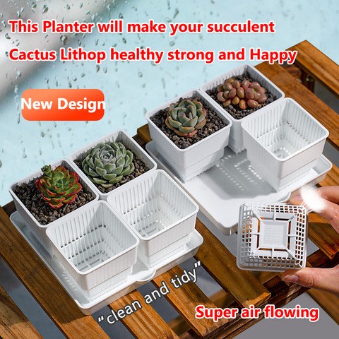 Durable Succulent Gardening Hard PP Plastic Nursery Plants Pots Factory Price