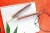 Import Eco Friendly Herbal Neem Tree Branches Made Pen and Color & HB Pencil from India