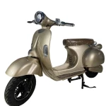 EEC COC classic vintage 1000w 2000w Retro bike electric scooter motorcycle/electric vespa with removable lithium battery