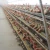 Import egg laying chicken cage coop designs building sale from China