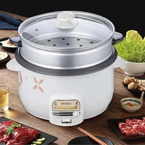 Electric mini Hot pot cooker