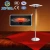 Import Electric Patio Quartz Heater Orchard heater from China
