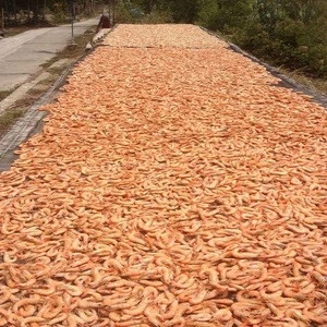 EXPORT DRIED SHRIMP WITH COMPETITIVE PRICE