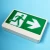 Import Exquisite Workmanship Green Led Explosion Proof Emergency Light Use Exit Signs from China