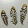 Factory direct wholesale 7-10cm pheasant feathers Natural Pheasant Tail Feathers