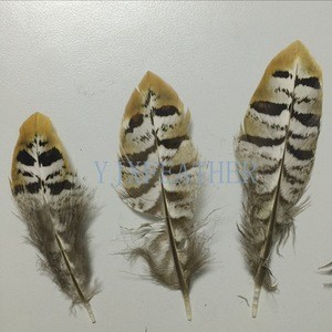 Factory direct wholesale 7-10cm pheasant feathers Natural Pheasant Tail Feathers