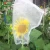 Import factory supply 100% new pe material 40mesh garden pests bird fly colander nylon mesh net bag from China