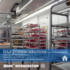 Factory supply 2000 pound blast freezer,industrial blast freezers,vegetable refrigerator storage