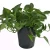 Import Factory Supply Round Black Outdoor Plant Pots Nursery Plastic Pots 1 Gallon Pot from China