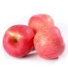 Farm Wholesale Fruit Fruits Apple Fresh Apples