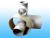 Import for plastic roll products usage ZJG-80-II Spiral Paper Tube/core making Machine from China