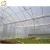 Import Foshan Kunyu low cost Agriculture plastic film tunnel poly greenhouse from China