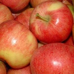 fresh apple/fresh red apples/fresh green apples