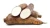Import Fresh Cassava / Tapioca / Manioc / Yucca Roots / Casabe from Sri Lanka