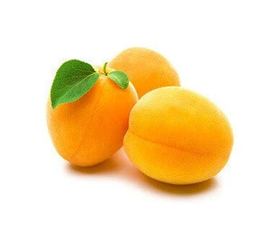 Fresh Cheap Apricots