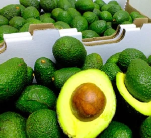 Fresh Fruit &amp; Hass Avocados for sale