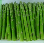 Fresh Organic Asparagus / Export quality / From South Africa