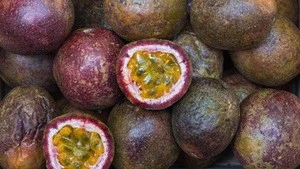 Fresh Passion Fruit with Best Price and Good Quality