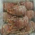 Import Fresh Quality Frozen Lobster at Best Price from Germany