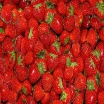 Fresh Strawberry, Strawberry Fresh Berries For Sale